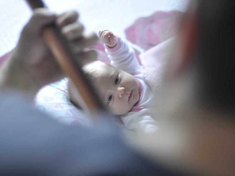 版权卫士<br>原创保护与内容去重检测